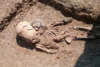 Во время раскопок в Крыму нашли что-то очень похожее на останки младенца  инопланетянина