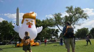 Перед Белым домом появился гигантский цыпленок с прической а-ля Трамп