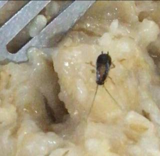 Матиос обнаружил в еде будущих военных летчиков тараканов и червей