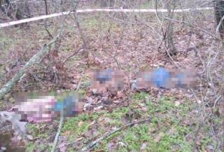 На Одесщине охотник набрел в лесу на повешенные тела матери и двух детей