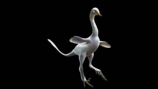 Полулебедь, полупингвин - ученые открыли новый вид динозавров