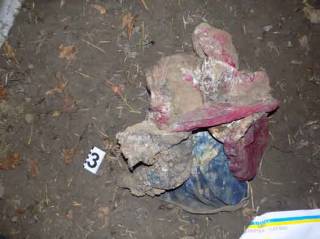 Два закопанных трупа найдены в поле на Одесщине