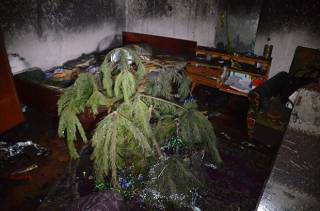 Смерть под елкой: молодые супруги погибли на пожаре в маленькой квартире в Николаеве