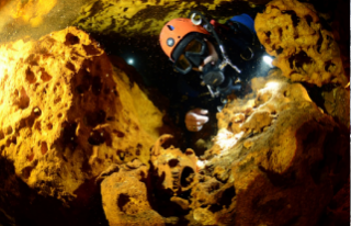 Дайверы нашли уникальное подводное кладбище