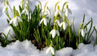 В Украину наконец-то идет настоящая весна