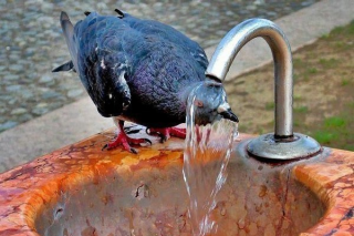 С каждым днем в Украине будет все холоднее