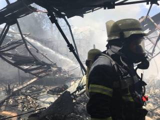 В Киеве произошел пожар в Гидропарке. С огнем борются полсотни спасателей