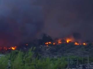 Гигантский лесной пожар в Греции унес жизни десятков людей