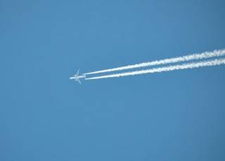 Самолет из Львова из-за птицы совершил аварийную посадку в «Борисполе». Чудом никто не пострадал