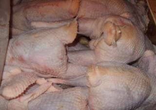 Отравление шаурмой в Киеве: стало известно, откуда привезли зараженную курятину
