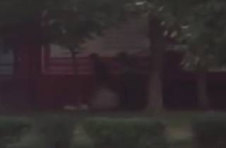 Появилось видео ограбления ювелирного магазина в Киеве