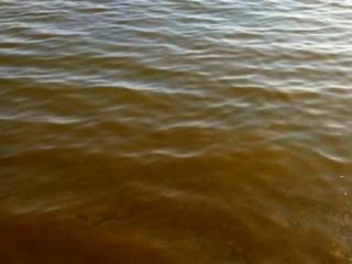 Черное море в Одессе заволокло токсичной пленкой