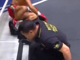 Судья на ринге «отхватил» сильнейший удар ногой по лицу. Появилось видео