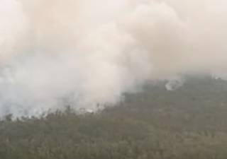 В Австралии продолжают бушевать гигантские лесные пожары – ожидаются огненные штормы