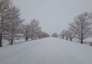 Украину основательно замело снегом: водителям рассказали, по каким дорогам лучше не ездить