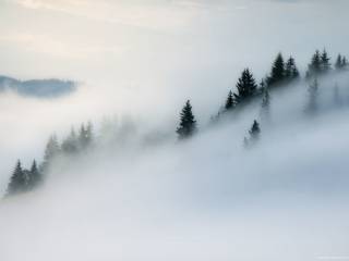 На Закарпатье в горах потерялась группа лыжников
