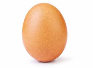 Таинственное куриное яйцо внезапно стало звездой Instagram