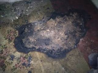 В Херсонской области заживо сгорели два брата-алкоголика