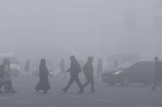 Погода в Украине на неделю: туман, тепло и дожди