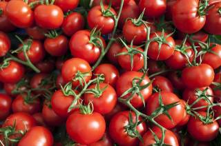 Ученые рассказали о невероятной пользе помидоров