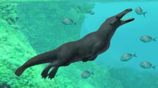 Палеонтологи обнаружили скелет... четвероногого кита