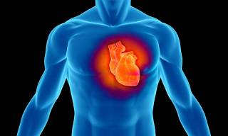 Ученые рассказали, как правильно питаться после инфаркта