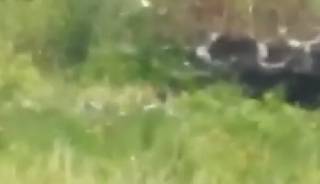Появилось видео убийства снайпера в Донецке (18+)