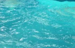 Трагедия в Мукачево: в аквапарке утонул маленький мальчик
