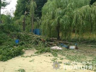 На Харьковщине дерево рухнуло прямо на людей ‒ есть жертвы