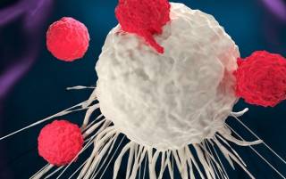 Ученые нашли эффективное средство против рака