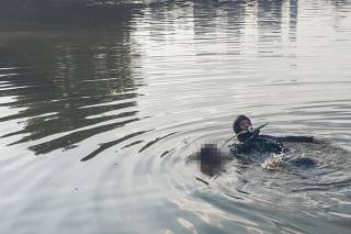 В Киеве возле яхт-клуба утонул мужчина
