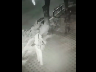 Появилось видео, как в Полтаве хладнокровно расстреляли охранника кафе