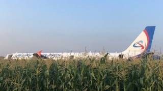 Чайки «подбили» самолет Москва – Симферополь. Горящий борт сел в кукурузном поле