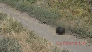 В Одесской области прямо посреди улицы валялась мужская голова