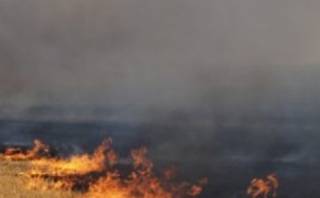 В Киевской области полыхал гигантский пожар