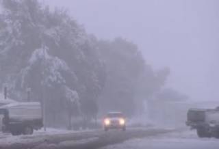 Жители Киева и Буковеля увидели первый снег