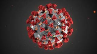 Китайцы подтвердили, что коронавирус почти «не берет» детей и подростков
