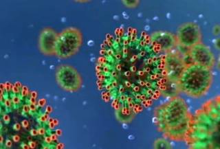 Российский ученый опроверг популярный миф о коронавирусе