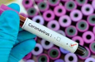 Стало известно, когда в Украине ожидается пик эпидемии коронавируса