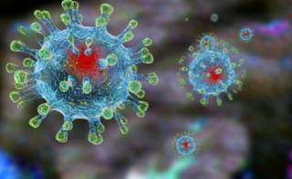 Названы сроки начала второй волны пандемии коронавируса