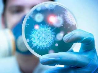 Ученые выявили «ахиллесову пяту» коронавируса
