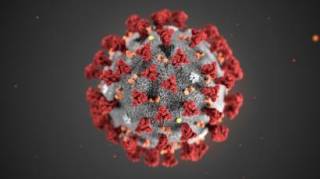 ВОЗ еще не видит пика пандемии коронавируса