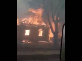 Появилось видео «огненного апокалипсиса» в Житомирской области, где лесные пожары уже достигли населенных пунктов