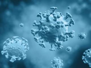 Ученые выявили новое разрушительное свойство коронавируса