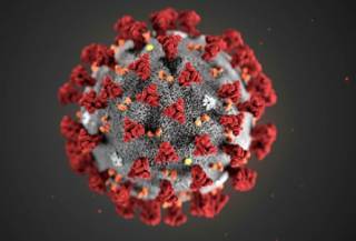 Ученые назвали «самый вероятный» способ заражения коронавирусом