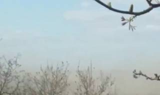 Одесскую область накрыла мощная пылевая буря