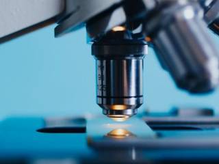 Ученые с помощью самого мощного в мире микроскопа показали процесс размножения коронавируса