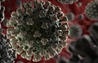 В аннексированном Крыму растет число жертв коронавируса