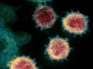 Стало известно, в каких случаях переболевшие коронавирусом не получают иммунитета