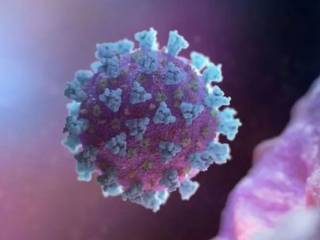 Ученые открыли новый способ передачи коронавируса